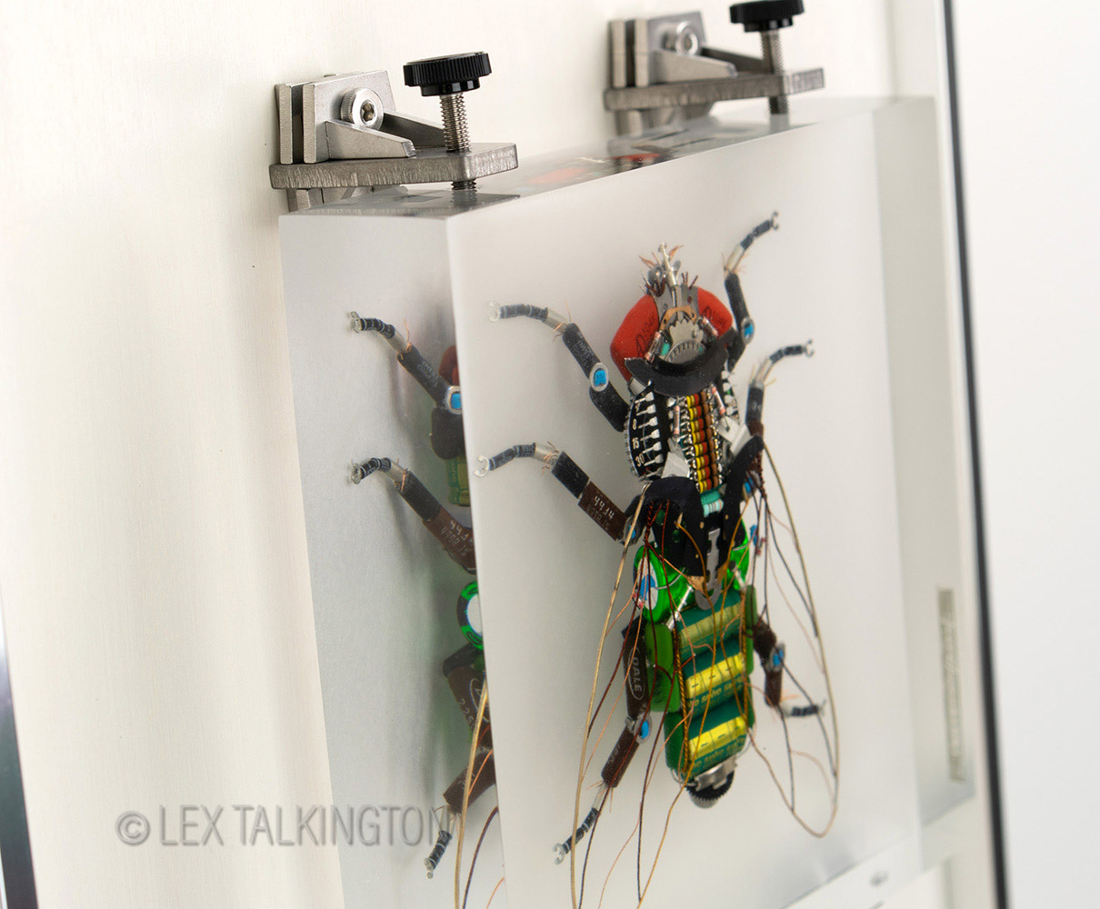 Lex Talkington Art