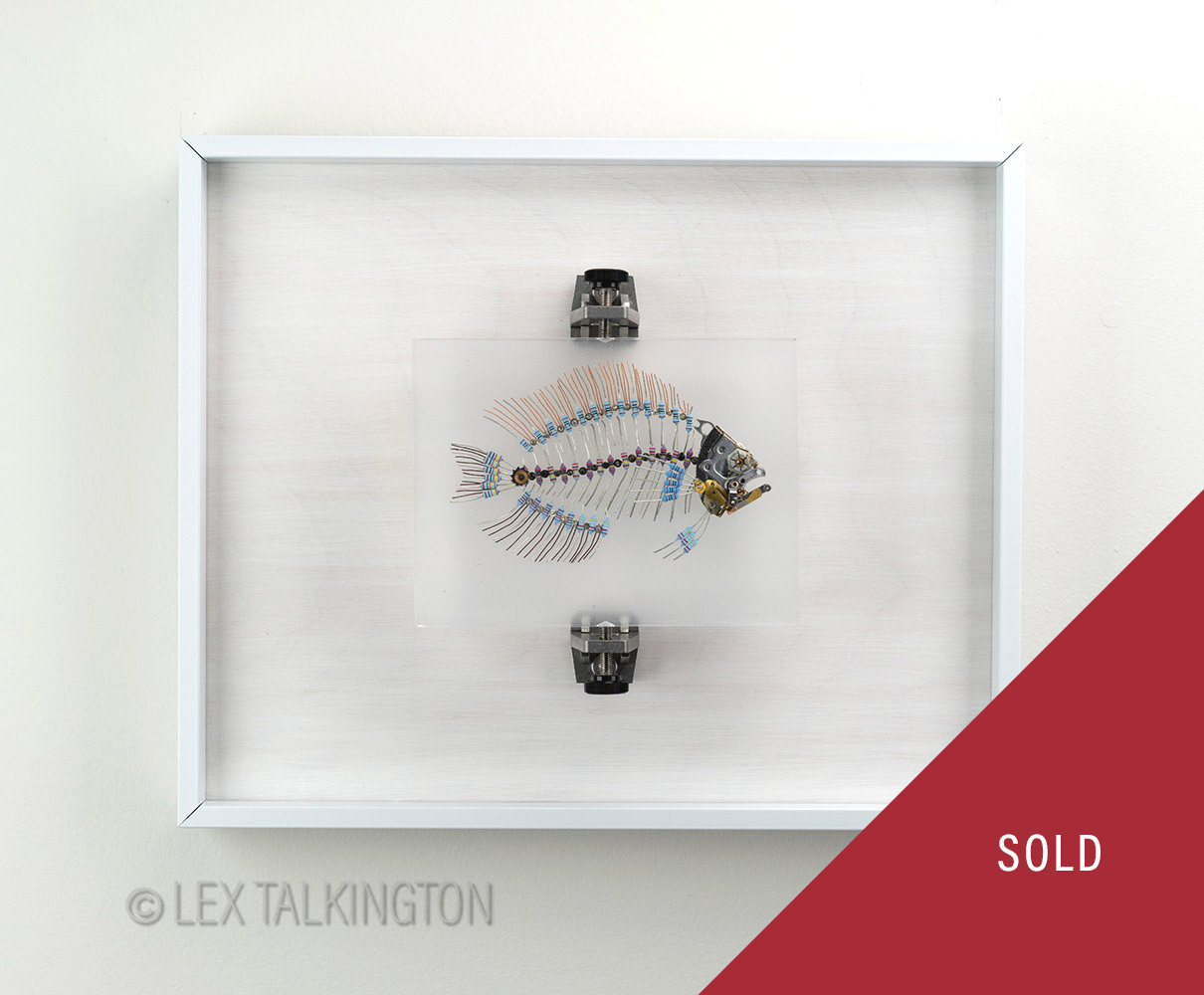 Lex Talkington Art