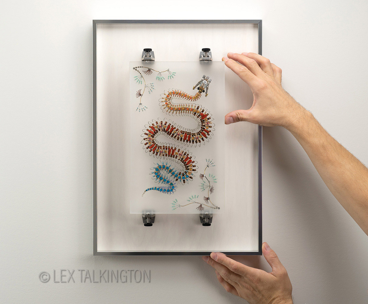 Lex Talkington Art